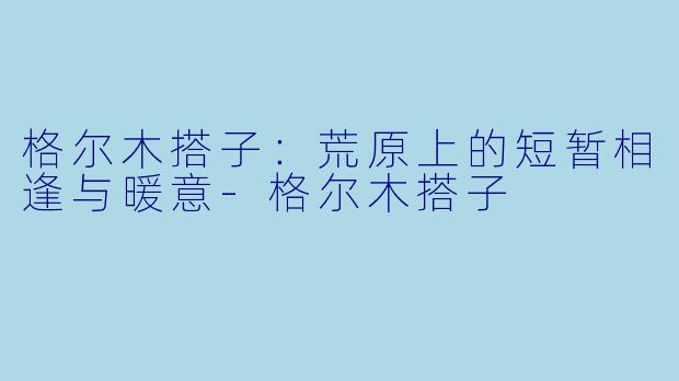 格尔木搭子：荒原上的短暂相逢与暖意-格尔木搭子