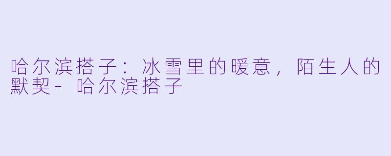 哈尔滨搭子：冰雪里的暖意，陌生人的默契-哈尔滨搭子