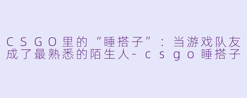 CSGO里的“睡搭子”：当游戏队友成了最熟悉的陌生人-csgo睡搭子