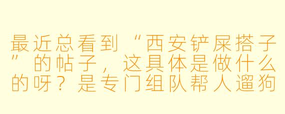 最近总看到“西安铲屎搭子”的帖子，这具体是做什么的呀？是专门组队帮人遛狗铲屎吗？