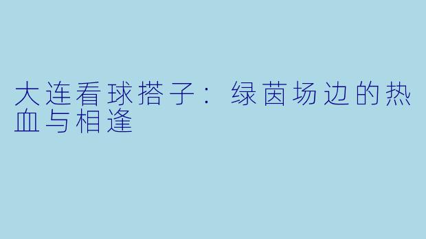 大连看球搭子：绿茵场边的热血与相逢