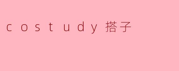 costudy搭子