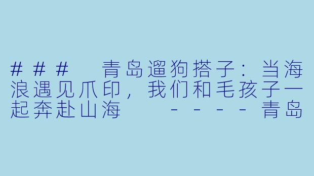 ###
青岛遛狗搭子:当海浪遇见爪印,我们和毛孩子一起奔赴山海
----青岛遛狗搭子