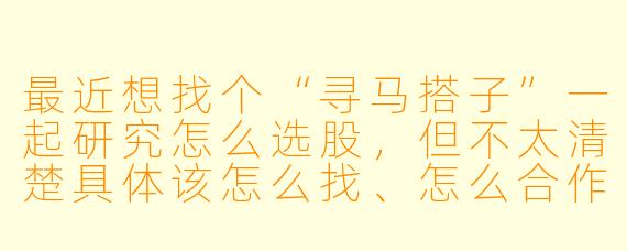 最近想找个“寻马搭子”一起研究怎么选股，但不太清楚具体该怎么找、怎么合作才能提高效率又避免踩坑，你有什么建议吗？