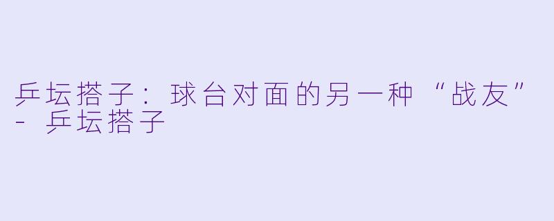 乒坛搭子：球台对面的另一种“战友”-乒坛搭子