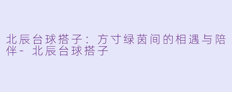 北辰台球搭子：方寸绿茵间的相遇与陪伴-北辰台球搭子