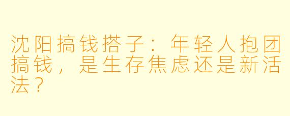 沈阳搞钱搭子：年轻人抱团搞钱，是生存焦虑还是新活法？