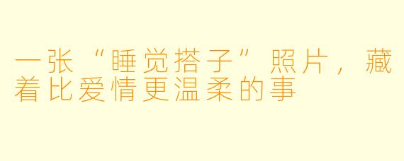 一张“睡觉搭子”照片,藏着比爱情更温柔的事