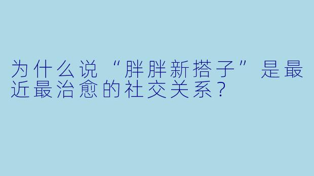 为什么说“胖胖新搭子”是最近最治愈的社交关系？