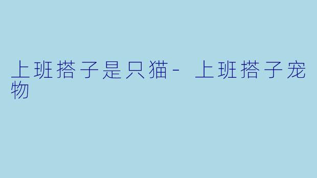 上班搭子是只猫-上班搭子宠物