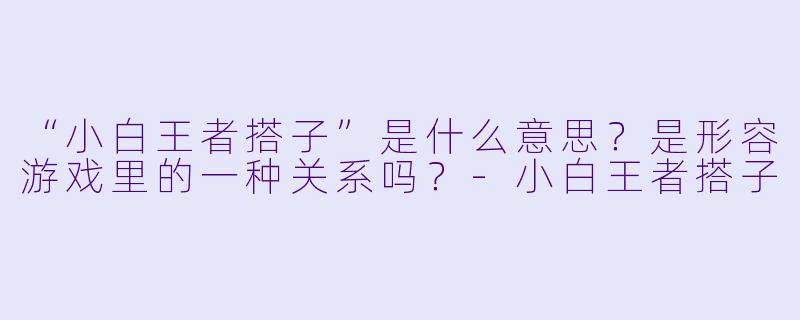 “小白王者搭子”是什么意思？是形容游戏里的一种关系吗？-小白王者搭子