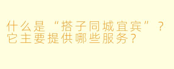什么是“搭子同城宜宾”?它主要提供哪些服务?