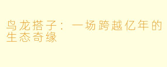 鸟龙搭子:一场跨越亿年的生态奇缘