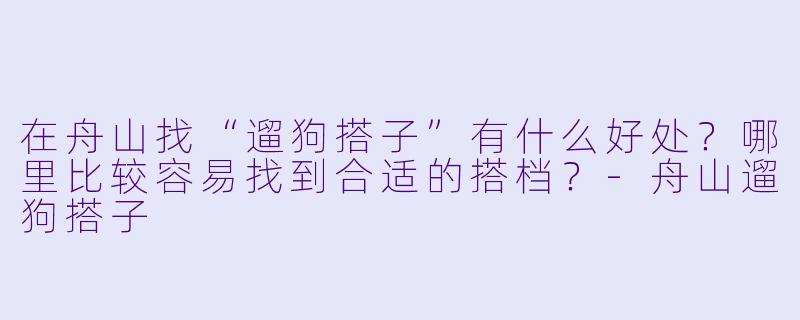 在舟山找“遛狗搭子”有什么好处?哪里比较容易找到合适的搭档?