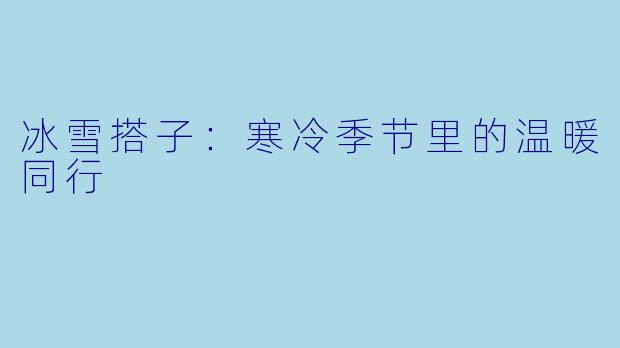 冰雪搭子：寒冷季节里的温暖同行