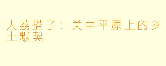 大荔搭子：关中平原上的乡土默契