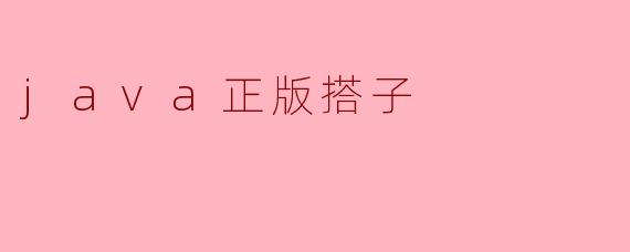 java正版搭子