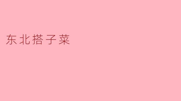 东北搭子菜:一桌饭菜里的默契与情义