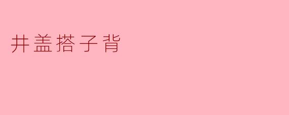 井盖搭子背