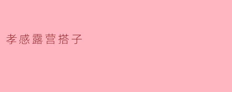孝感露营搭子