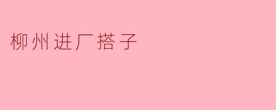 柳州进厂搭子