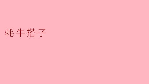 牦牛搭子