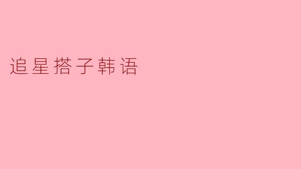 追星搭子韩语