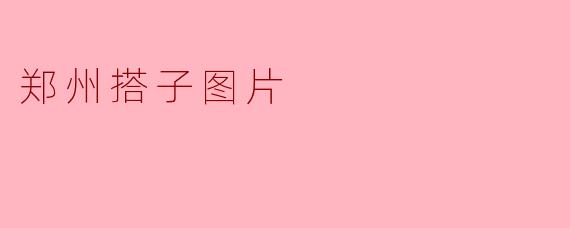 郑州搭子图片