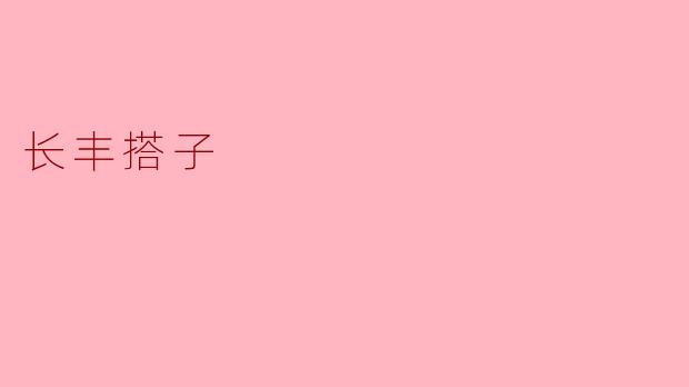 长丰搭子