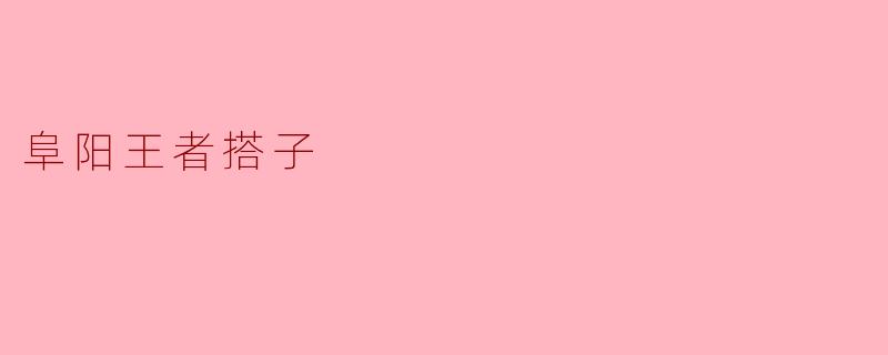 阜阳王者搭子