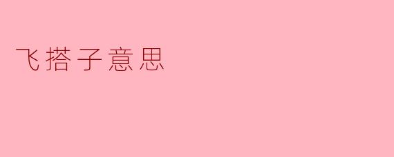 飞搭子意思