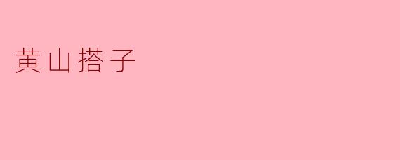 黄山搭子