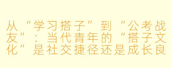 从“学习搭子”到“公考战友”：当代青年的“搭子文化”是社交捷径还是成长良方？