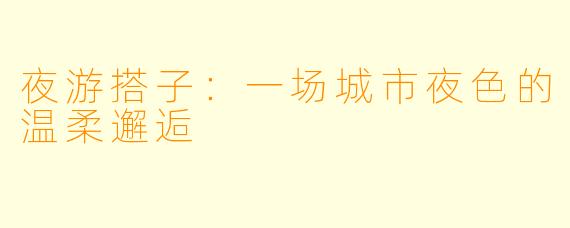 夜游搭子：一场城市夜色的温柔邂逅