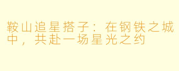 鞍山追星搭子:在钢铁之城中,共赴一场星光之约