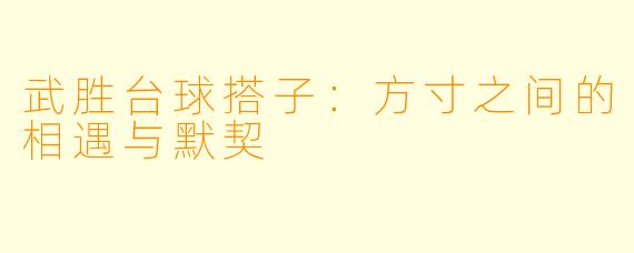 武胜台球搭子:方寸之间的相遇与默契