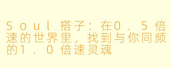 Soul搭子:在0.5倍速的世界里,找到与你同频的1.0倍速灵魂