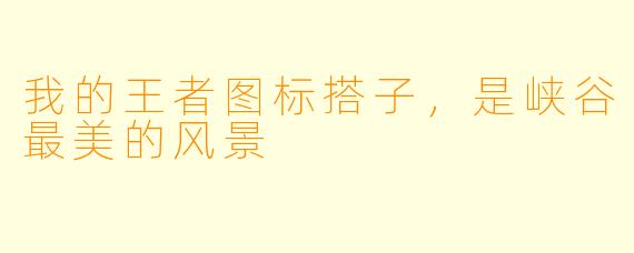 我的王者图标搭子，是峡谷最美的风景