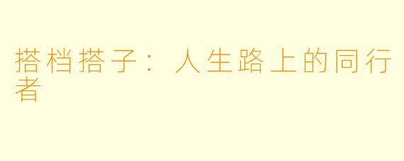 搭档搭子：人生路上的同行者