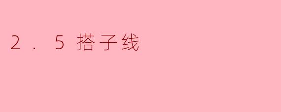 2.5搭子线