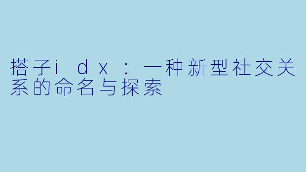 搭子idx：一种新型社交关系的命名与探索