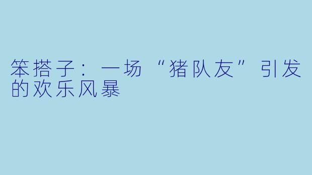 笨搭子：一场“猪队友”引发的欢乐风暴