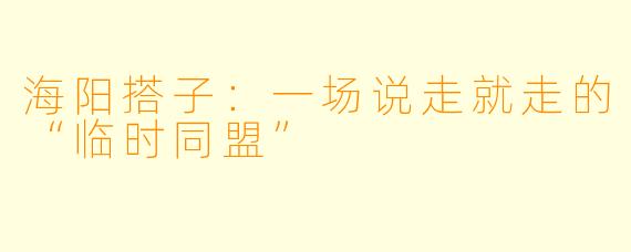 海阳搭子：一场说走就走的“临时同盟”