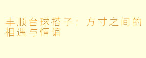 丰顺台球搭子：方寸之间的相遇与情谊