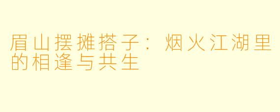 眉山摆摊搭子：烟火江湖里的相逢与共生