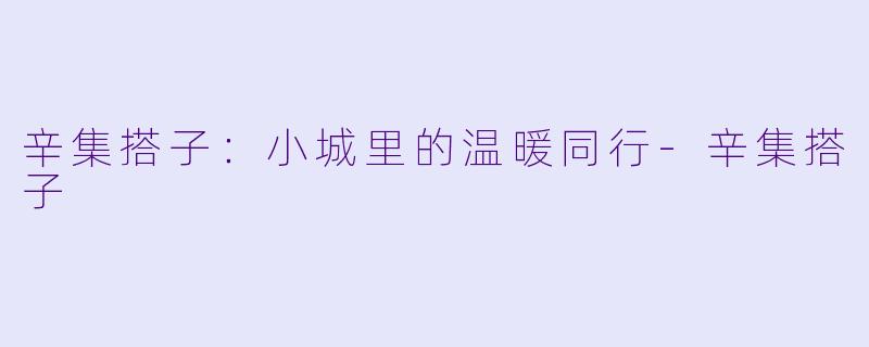 辛集搭子:小城里的温暖同行-辛集搭子