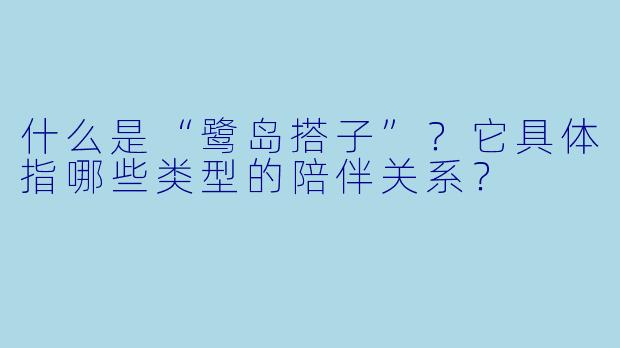 什么是“鹭岛搭子”？它具体指哪些类型的陪伴关系？