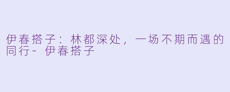 伊春搭子：林都深处，一场不期而遇的同行-伊春搭子