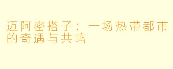 迈阿密搭子：一场热带都市的奇遇与共鸣