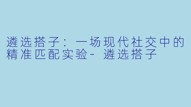 遴选搭子：一场现代社交中的精准匹配实验-遴选搭子